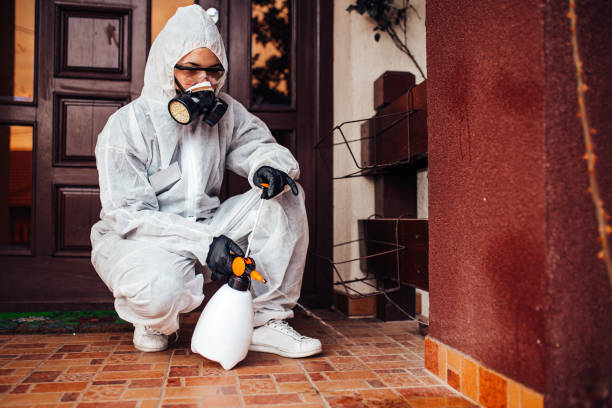 Reliable Cockroach Control contractor in Bolingbrook, IL by Nex Pest Control